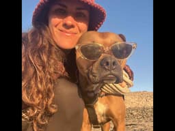 Laine's pet cared for by Meng & Flo